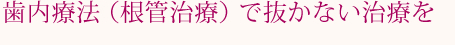 歯内療法(根管治療)で抜かない治療を