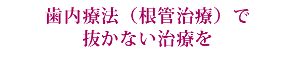 歯内療法(根管治療)で抜かない治療を